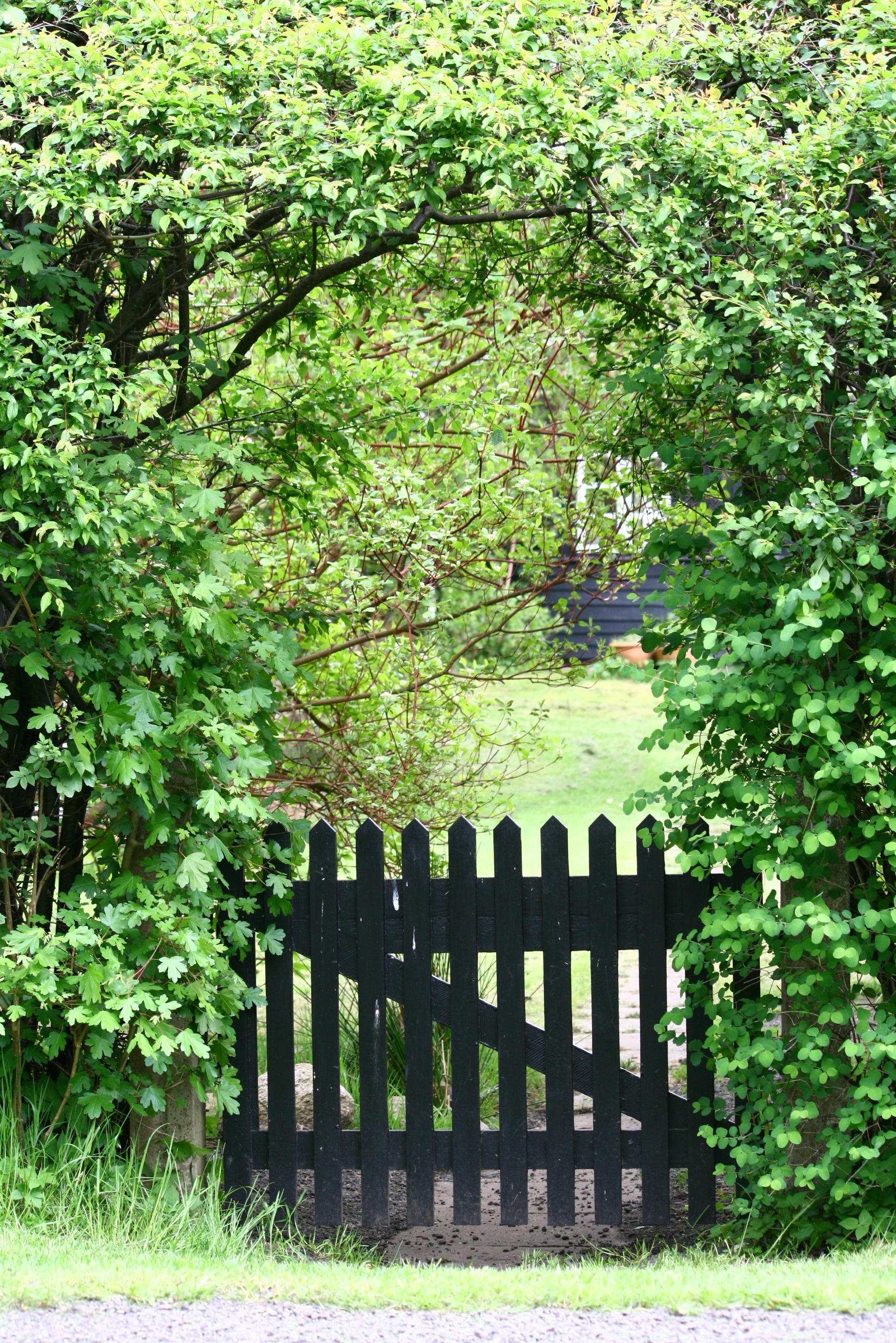 black wooden fence