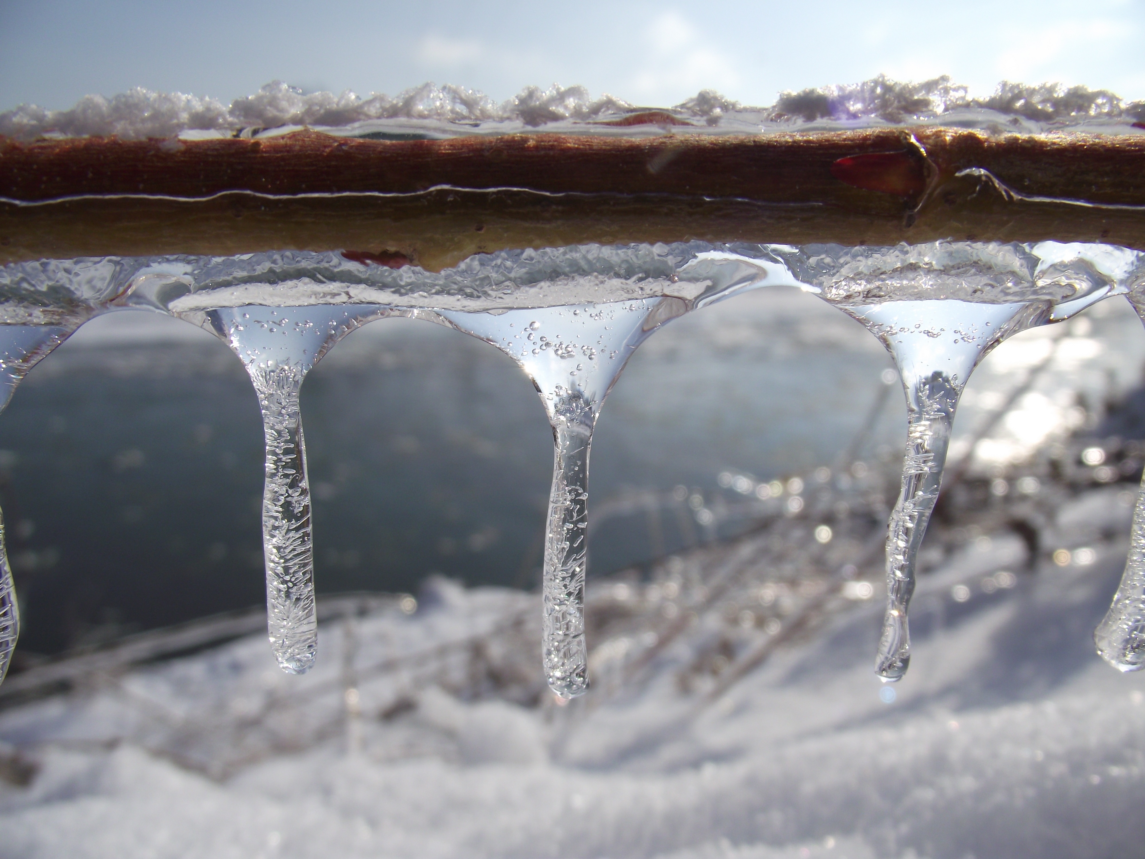 clear icicles