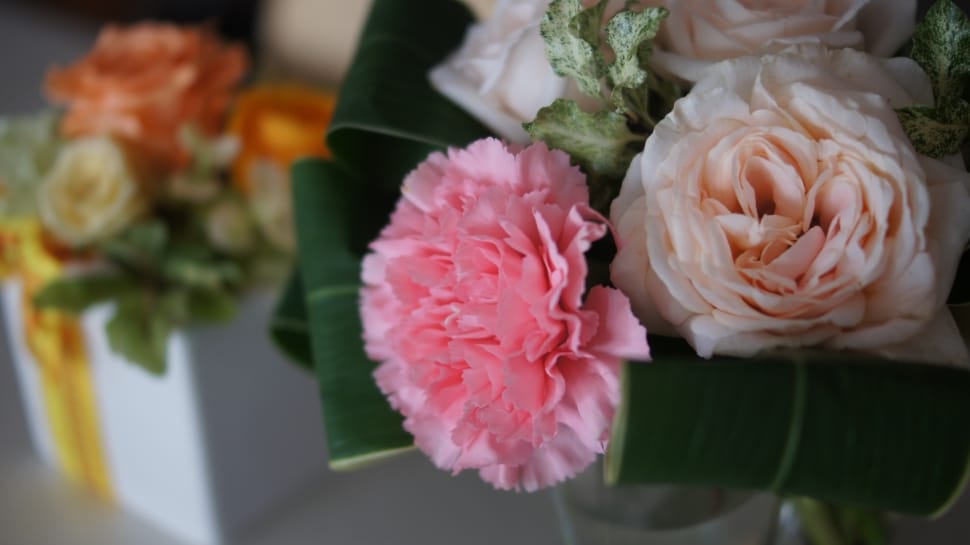 pink carnation and white rose bouquet preview