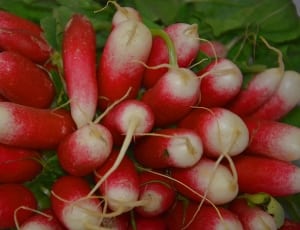 red and white fruits thumbnail