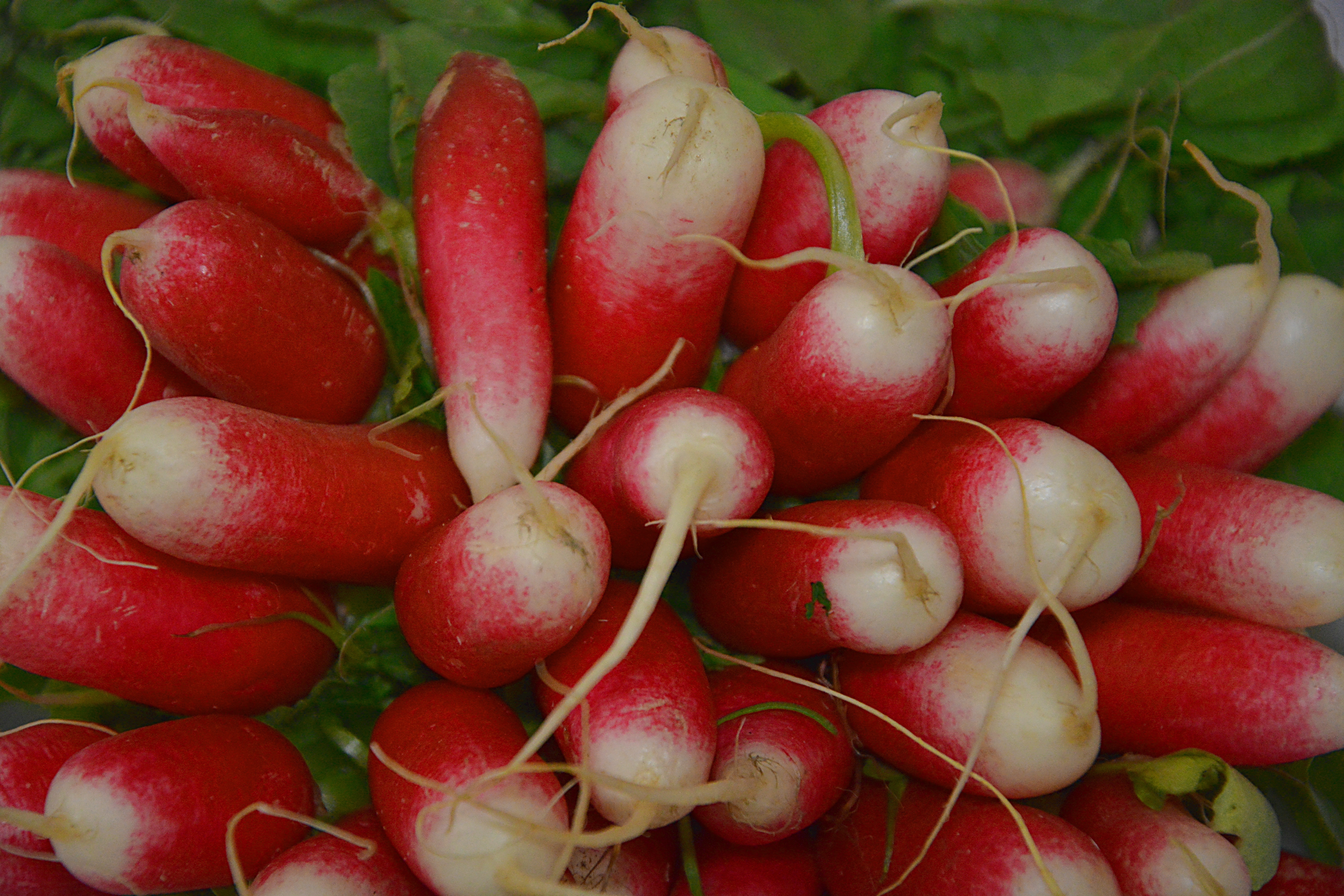 red and white fruits