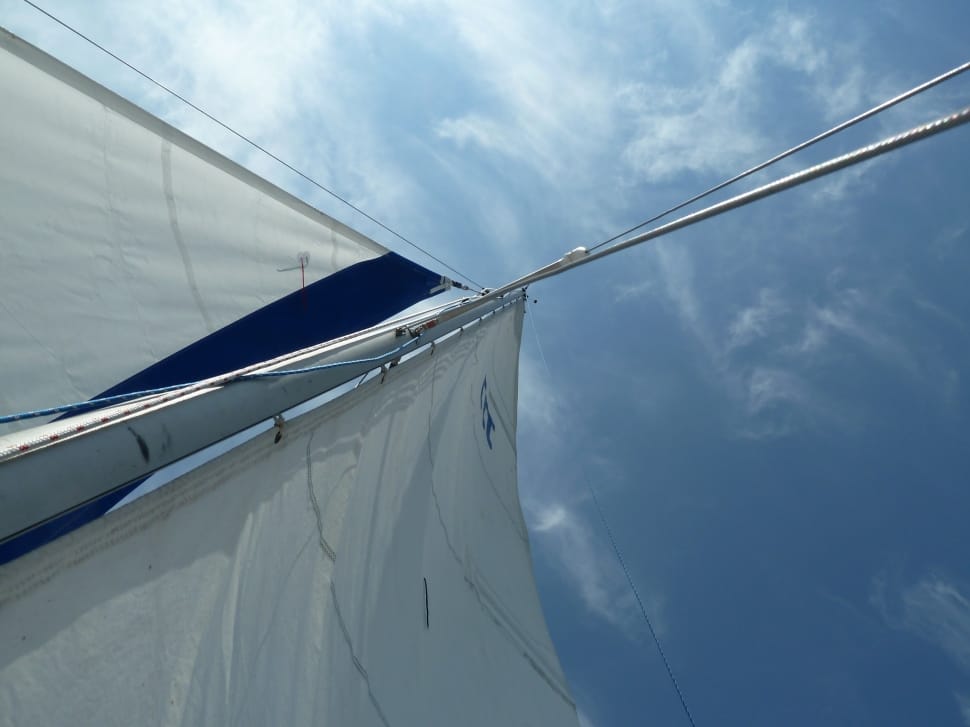 white and blue sail preview