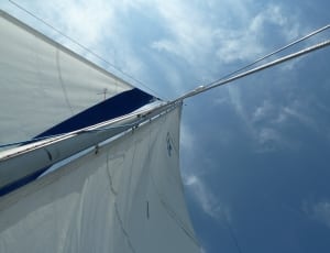 white and blue sail thumbnail