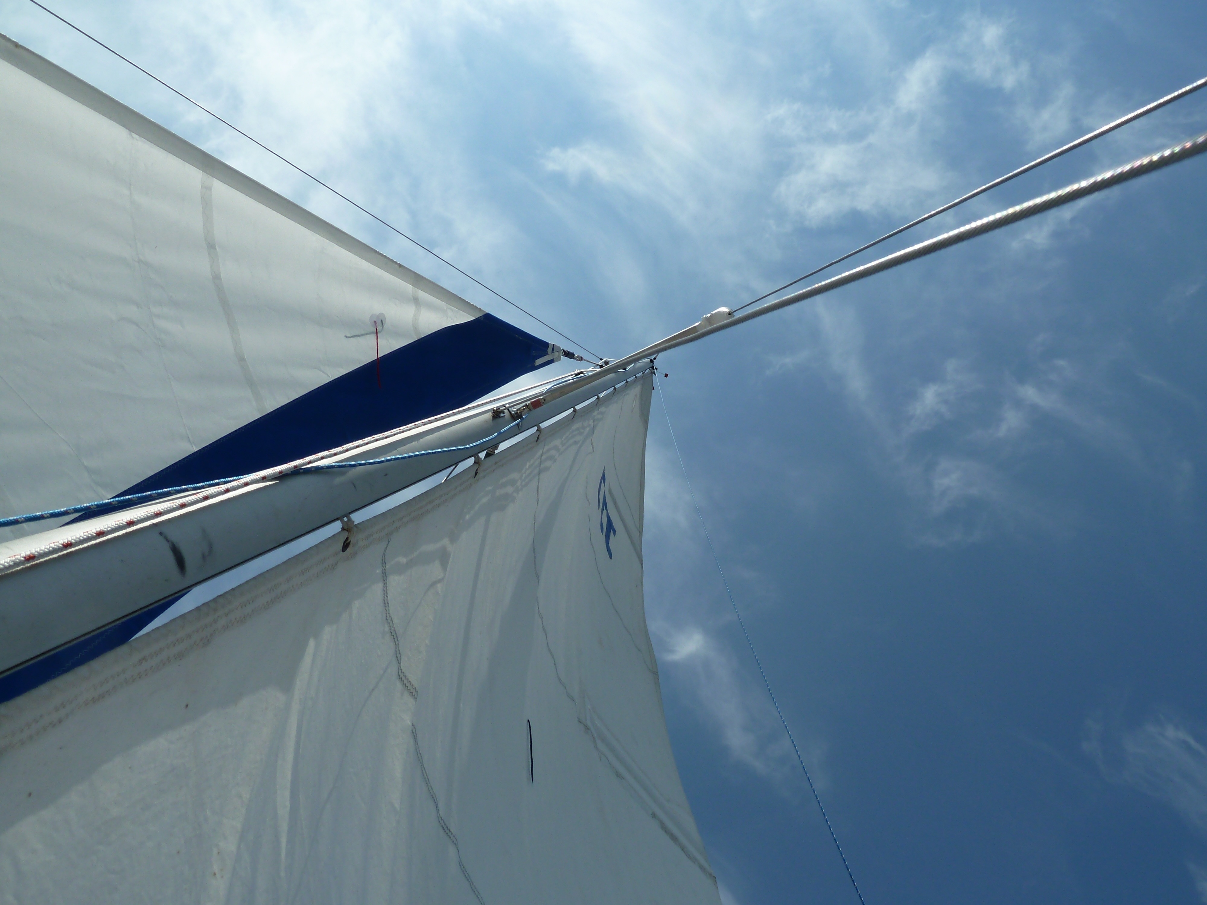white and blue sail