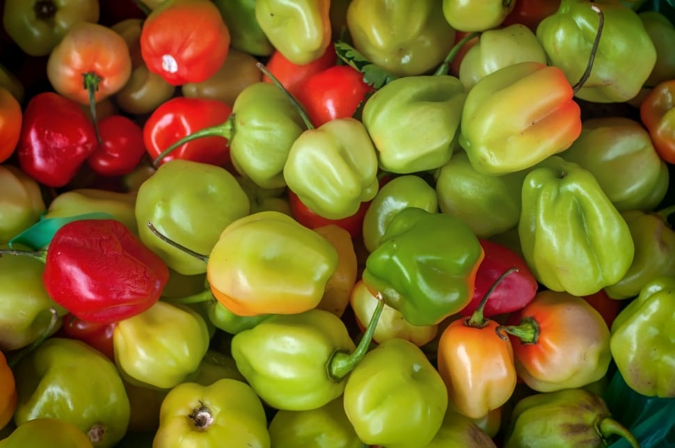 photo of green and red bell peppers preview
