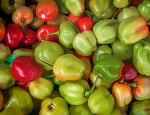 photo of green and red bell peppers thumbnail