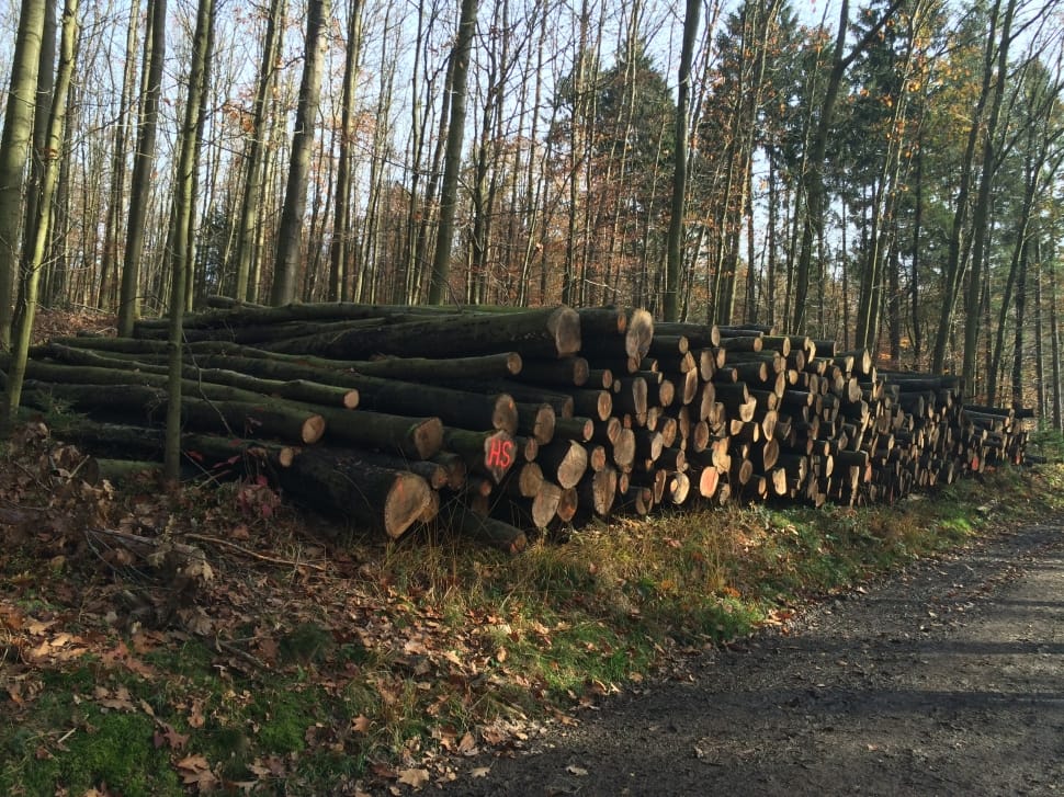 black wooden log preview