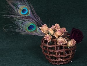 pink and red roses bouquet in brown basket with peacock tail printed palm leaf thumbnail