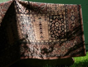 brown persian floor rug thumbnail