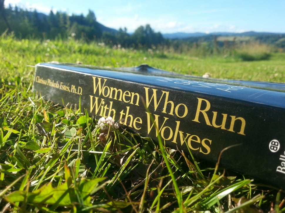 women who run with the wolves book preview