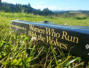 women who run with the wolves book thumbnail