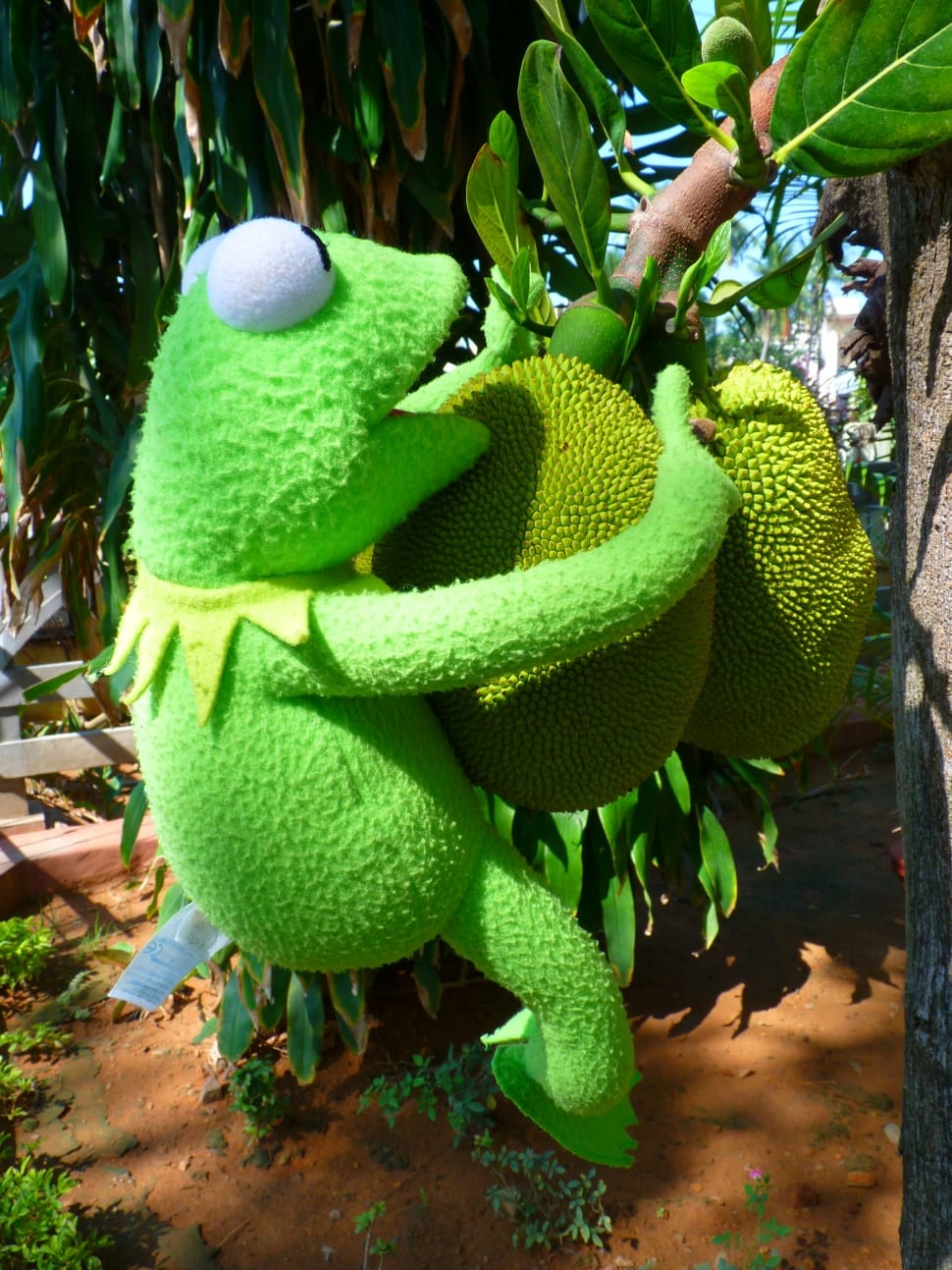 Kermit The Frog Plush Toy Picture. Image: 83064514