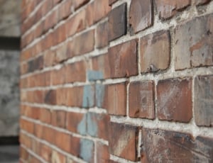 focus photography of brown brick wall thumbnail