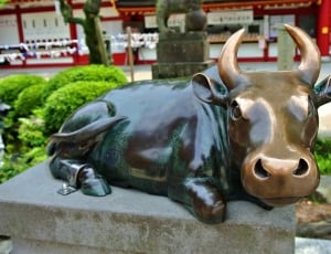 bull metal statue thumbnail
