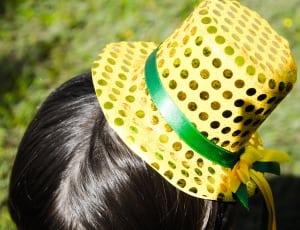 Hat, Party, Head, Top Hat, Portrait, one animal, focus on foreground thumbnail