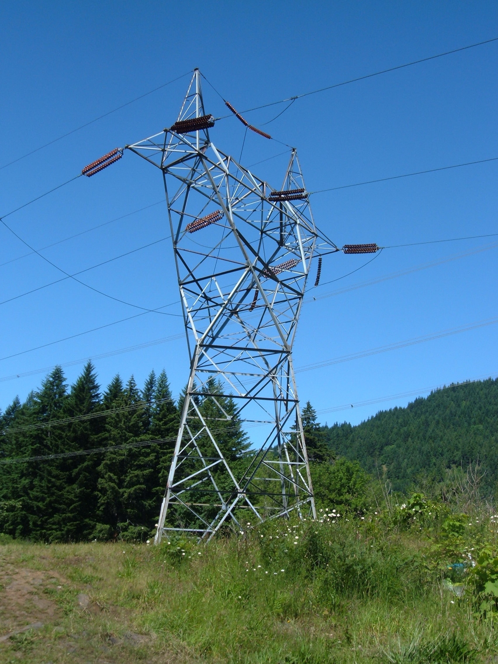 gray metal electricity tower on field near trees