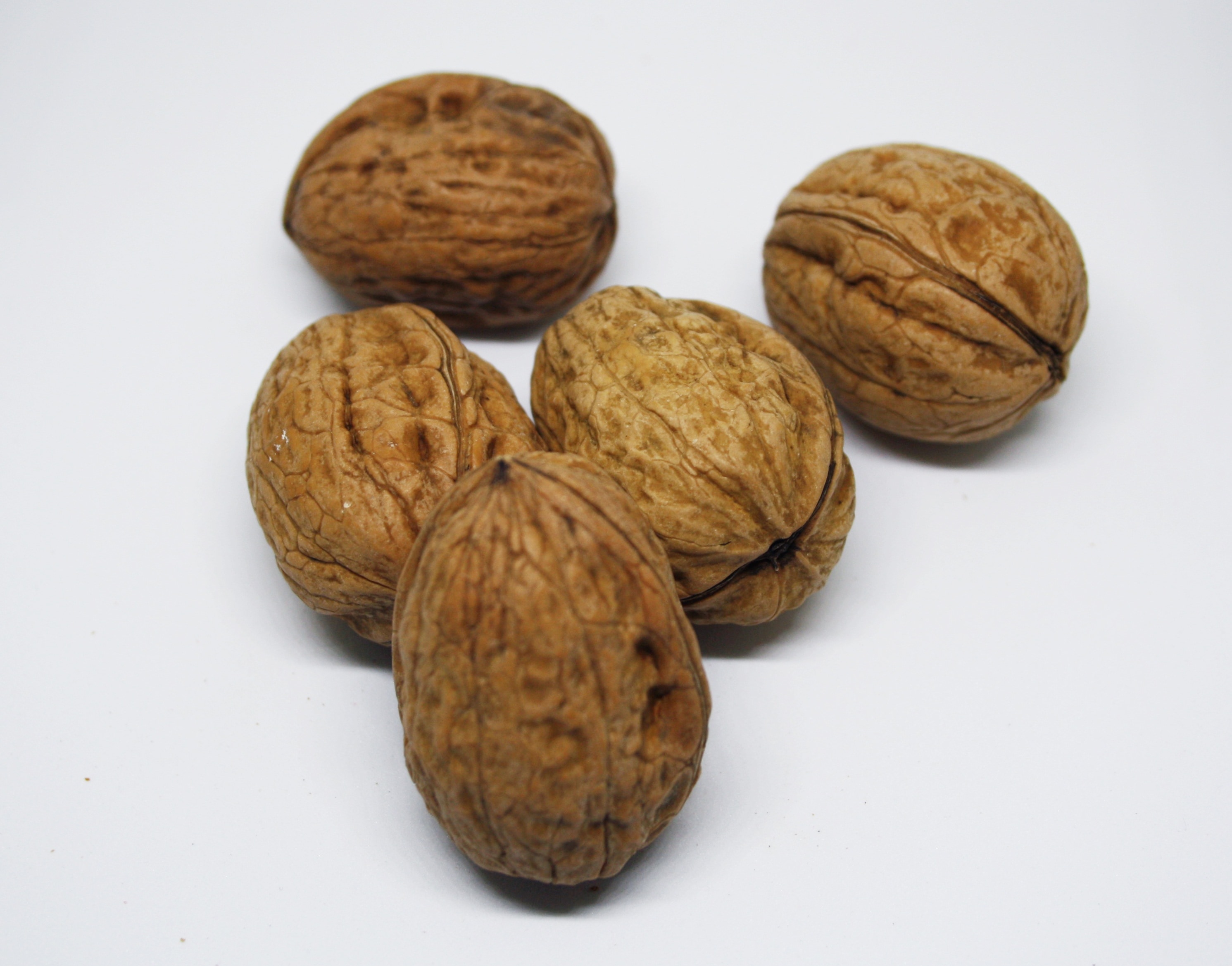 brown walnuts