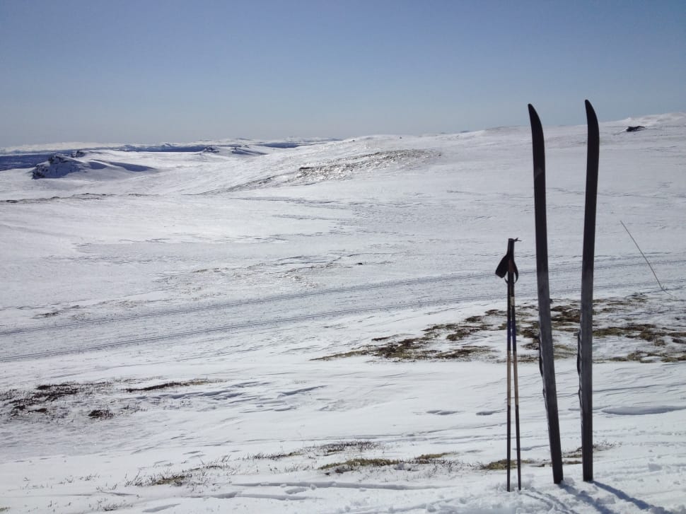four wooden poles surrounded by snow preview