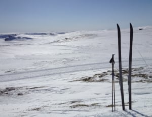 four wooden poles surrounded by snow thumbnail
