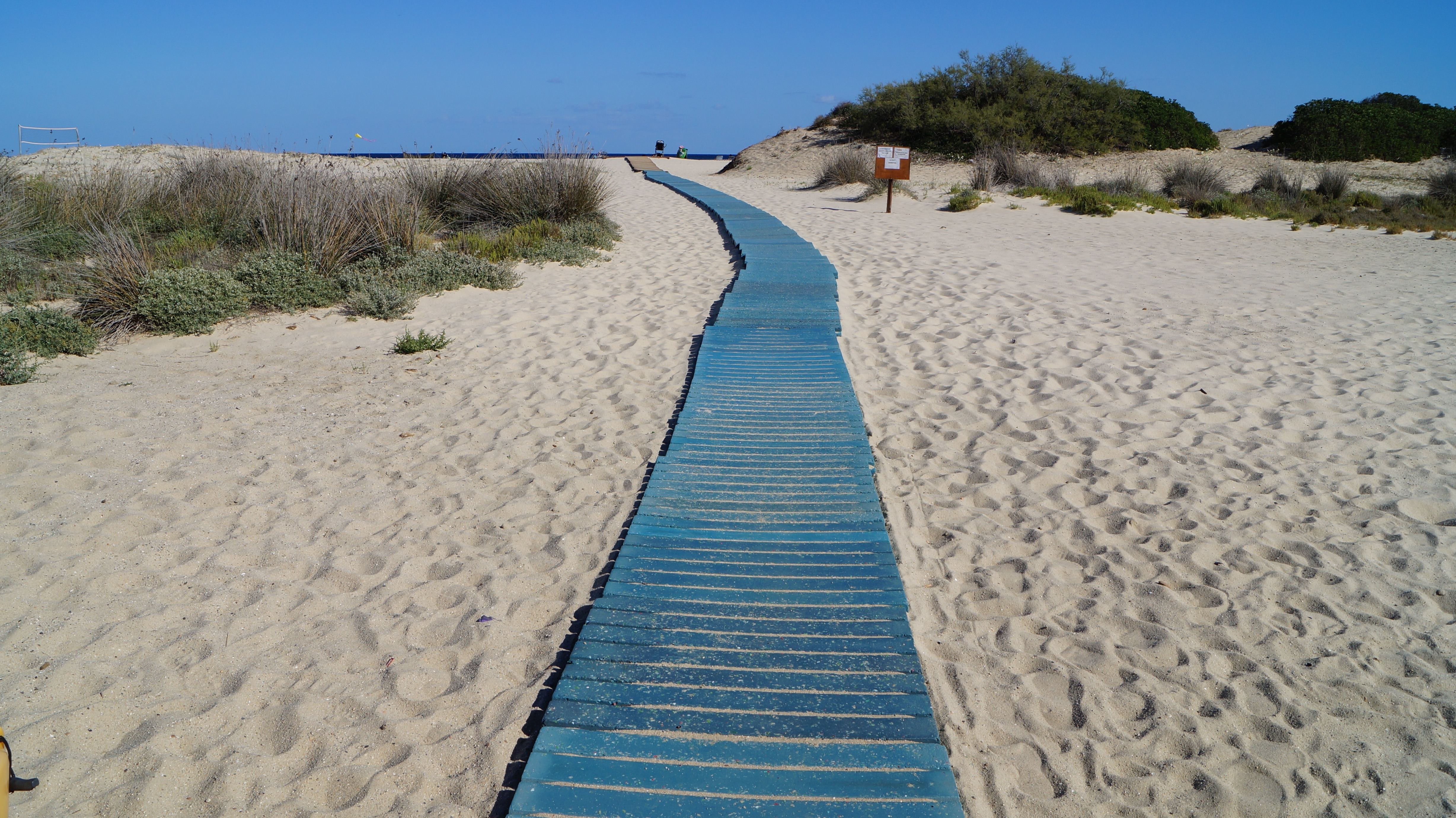 blue wooden pathway