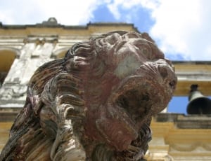 brown guardian lion statue thumbnail