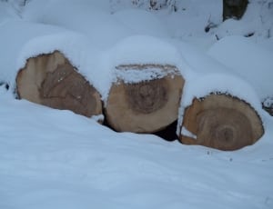 3 brown wood log thumbnail