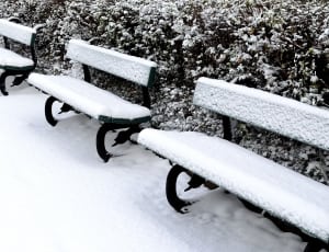 grey scale photo of park bench thumbnail