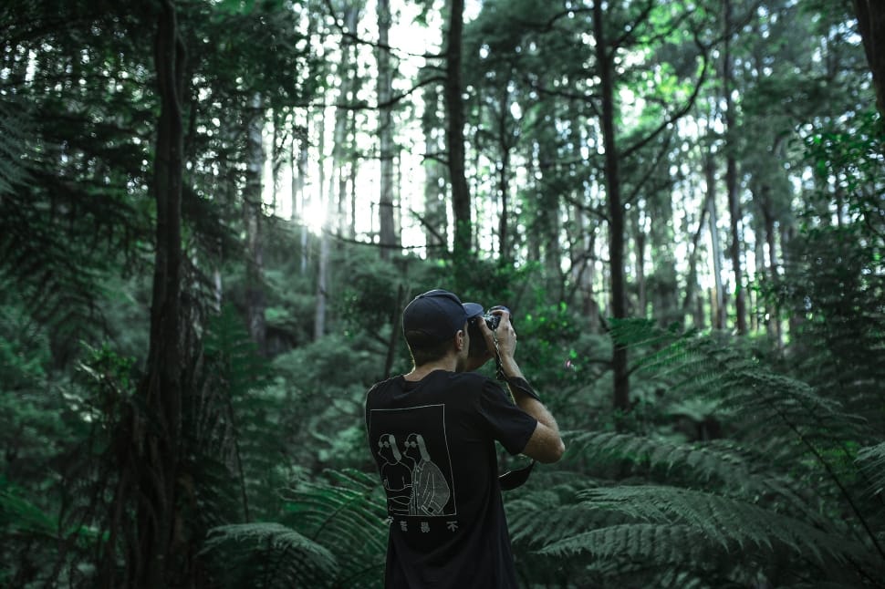 man in black crew neck shirt and black cap holding dslr camera surrounded by green leaf trees at daytime preview