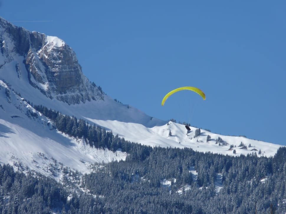 yellow paragliding preview