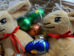 two brown Easter bunny with chocolate egg in basket thumbnail