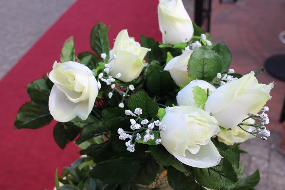 white bouquet of roses preview
