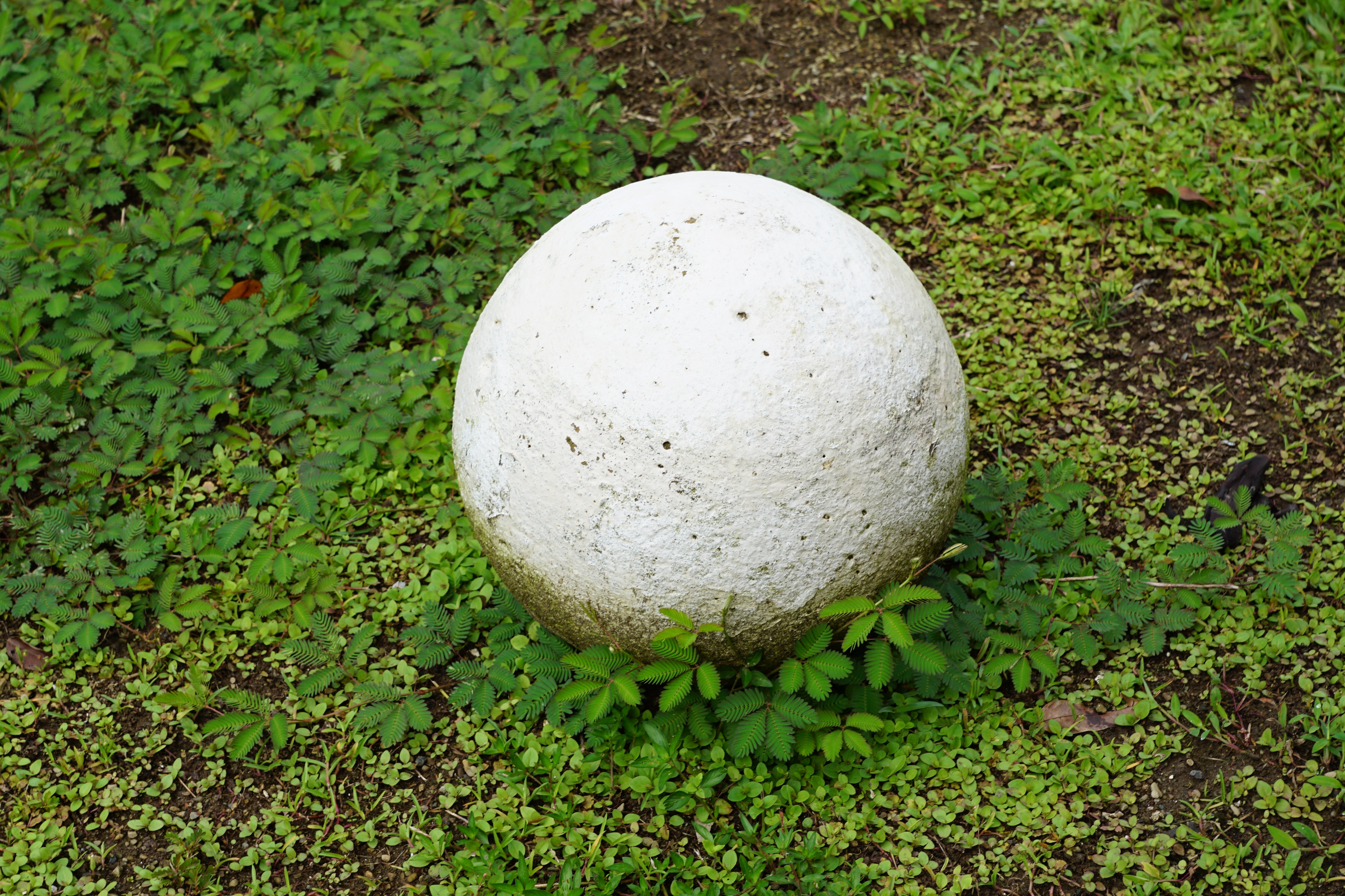 white round rock