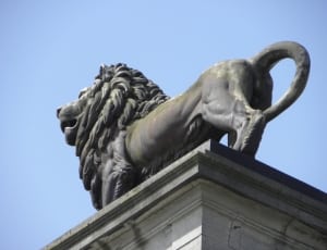 statue of lion thumbnail
