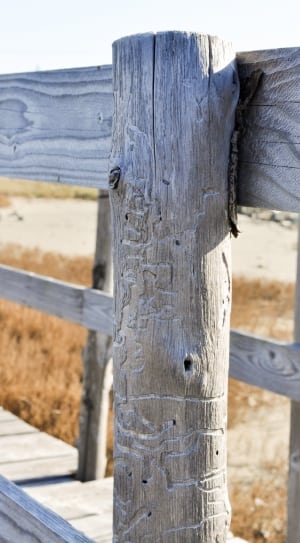 gray wooden post thumbnail
