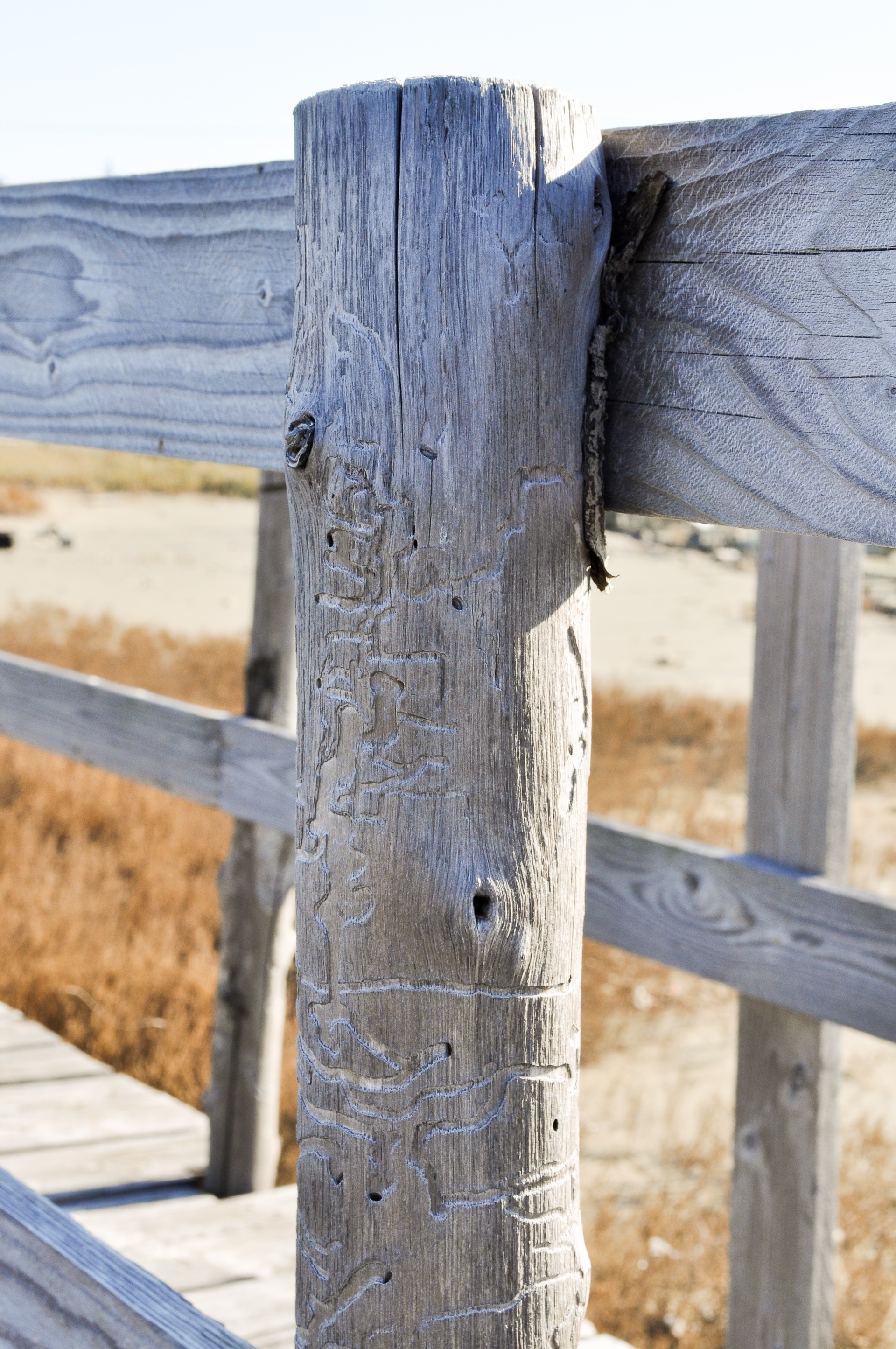 gray wooden post