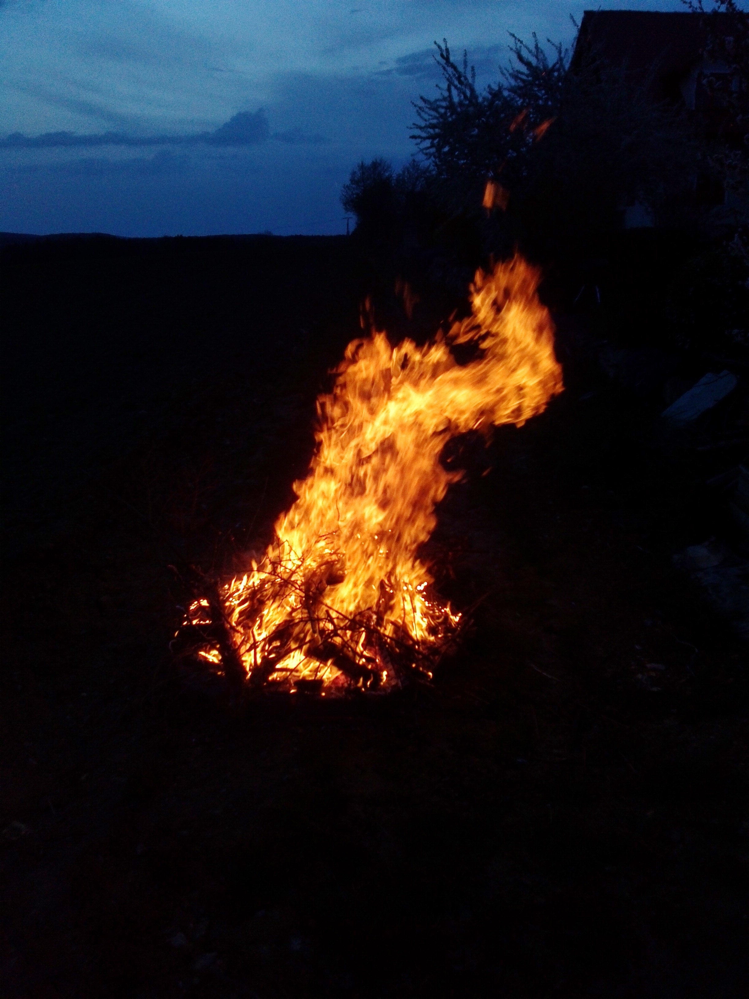 bonfire during nightime