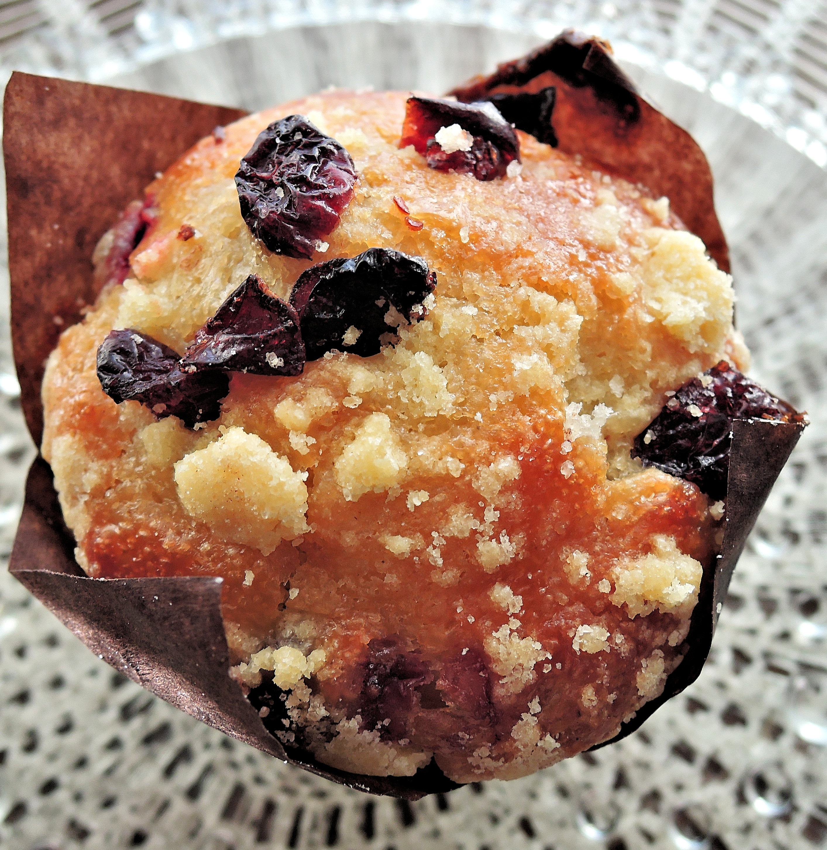 cupcake with raisins topping
