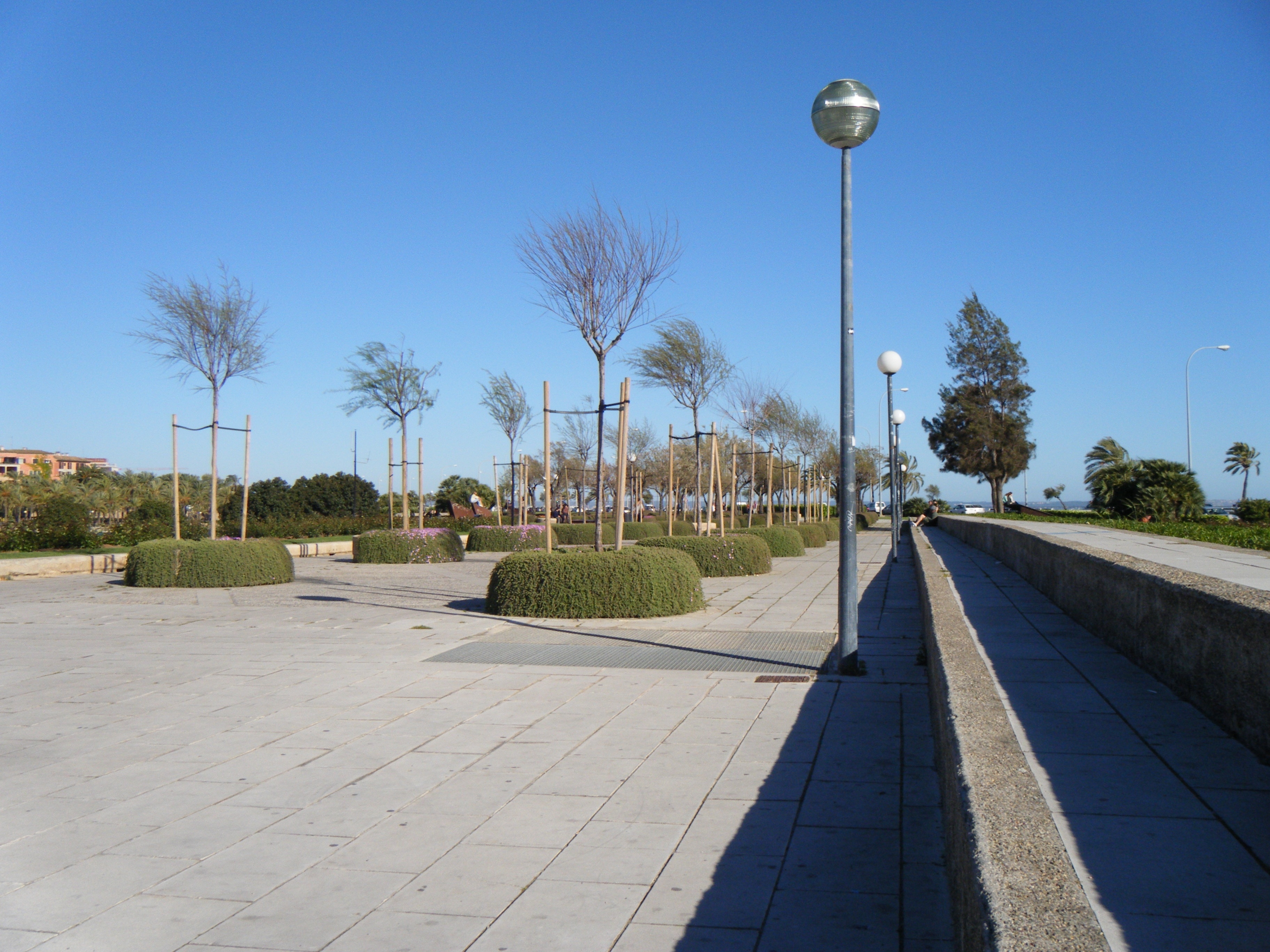 park with street lamps